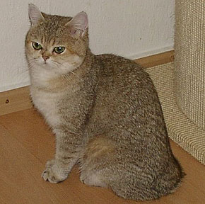 Mary Lu von Felden